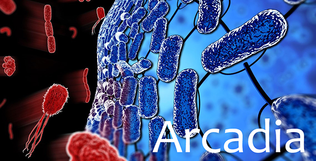 Le programme DARPA Arcadia vise à développer des biofilms de bactéries bénéfiques